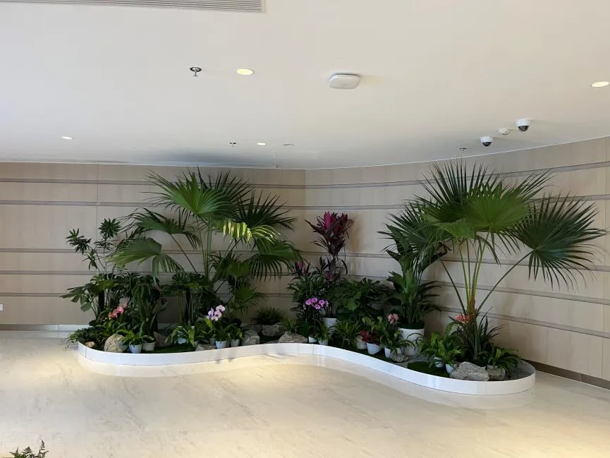 体验北仑花卉租摆，优质服务，让花卉点亮生活！